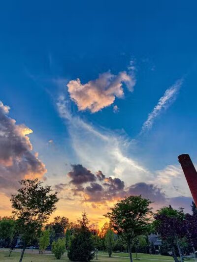 Barnum Park - Birmingham,