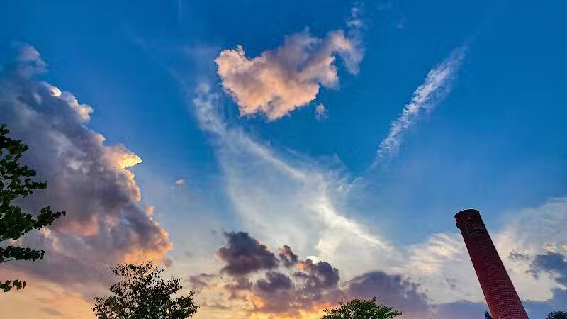 Barnum Park - Birmingham,