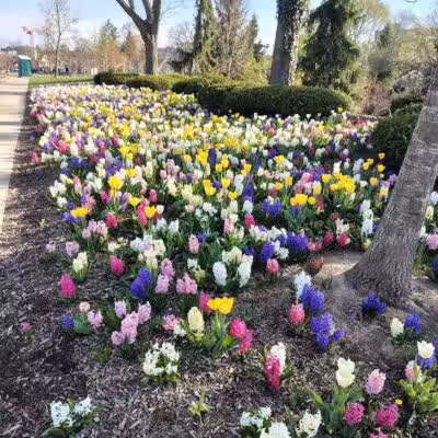 Barnum Park - Birmingham,