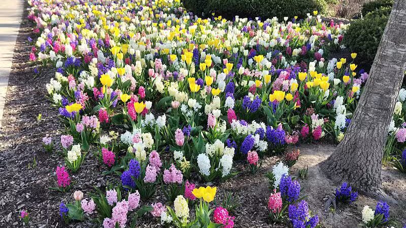 Barnum Park - Birmingham,