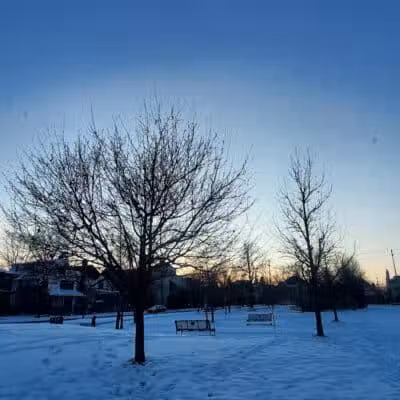 Barnum Park - Birmingham,