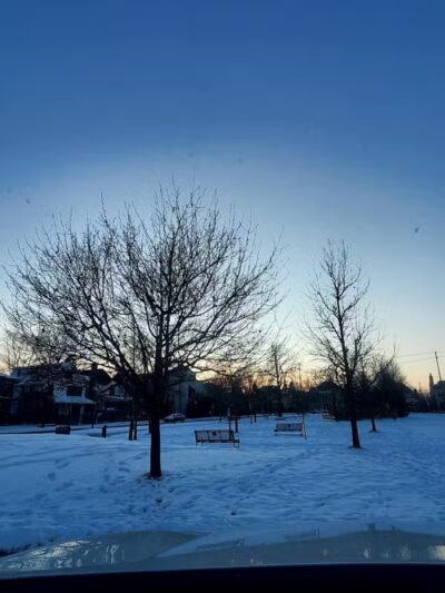 Barnum Park - Birmingham,