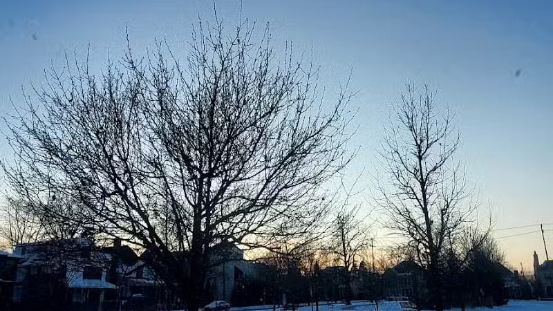 Barnum Park - Birmingham,