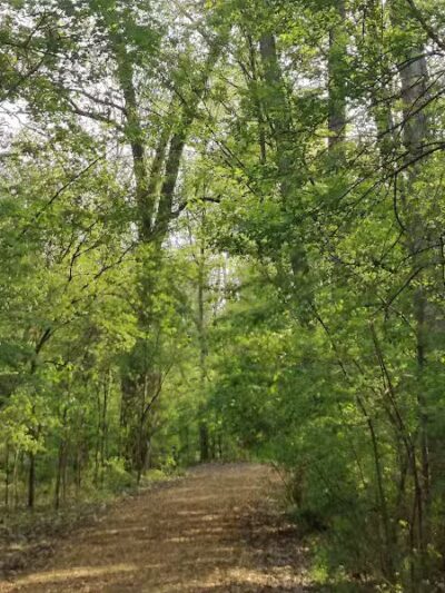 Booth Park - Birmingham,