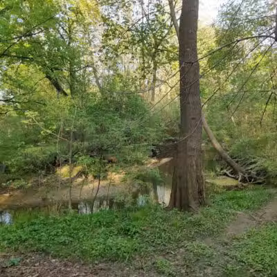 Booth Park - Birmingham,