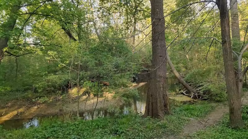 Booth Park - Birmingham,