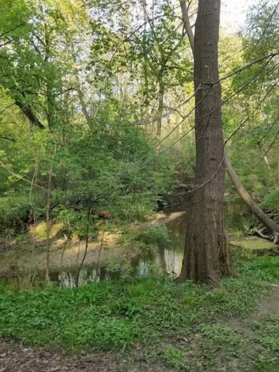 Booth Park - Birmingham,