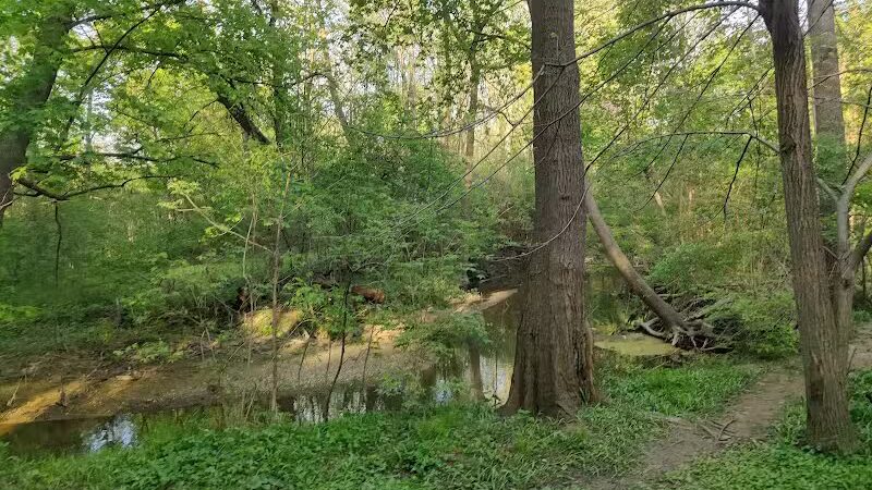 Booth Park - Birmingham,