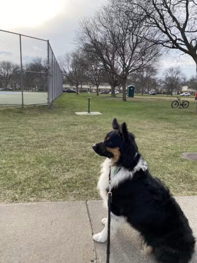 Crestview Park - Birmingham,