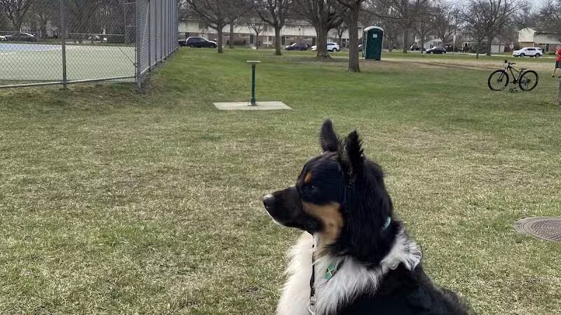 Crestview Park - Birmingham,