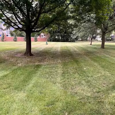 Fairfax Park - Birmingham,