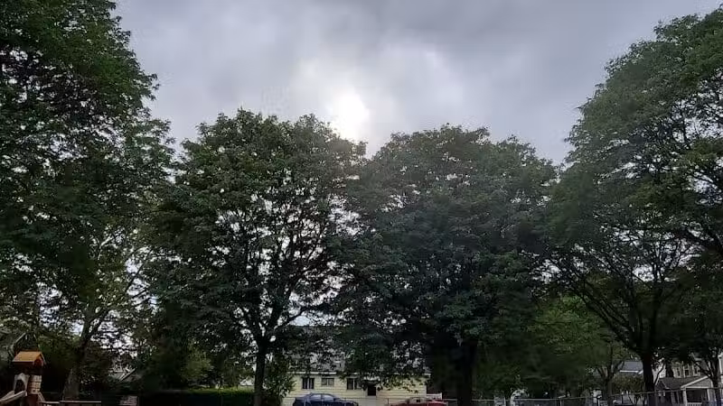 Howarth Park - Birmingham,