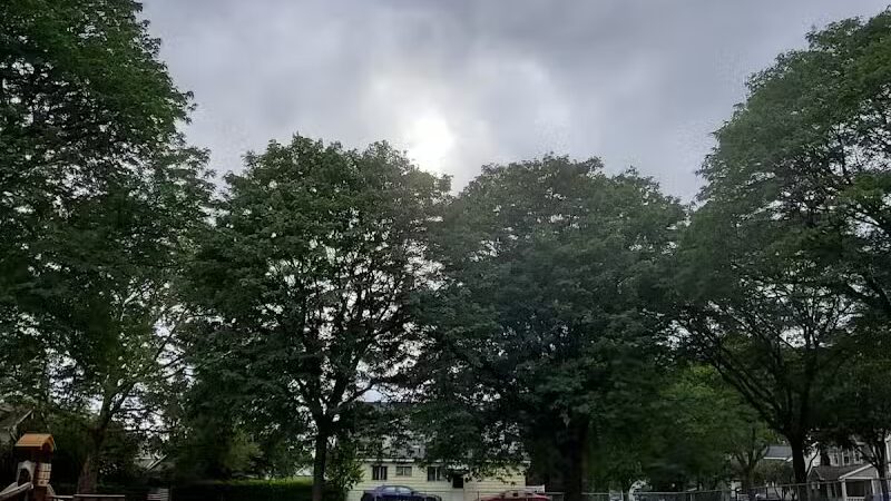 Howarth Park - Birmingham,