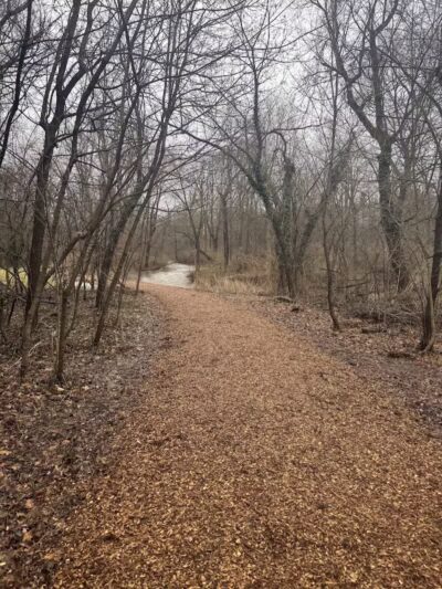 Linden Park - Birmingham,