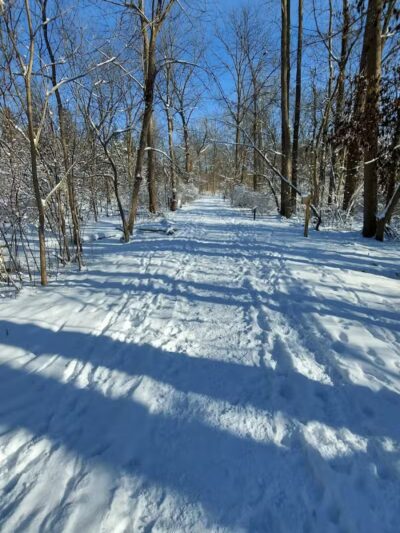 Linden Park - Birmingham,