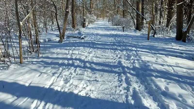 Linden Park - Birmingham,