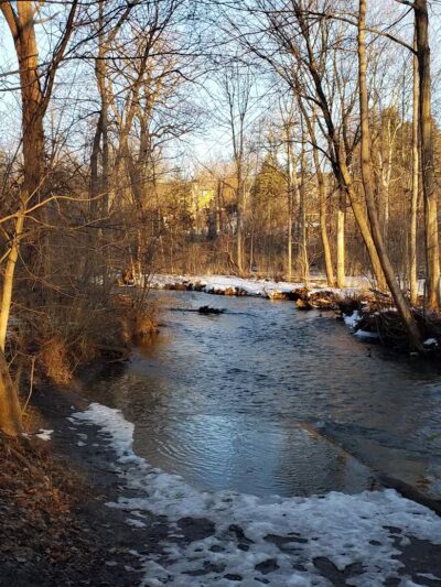 Linden Park - Birmingham,