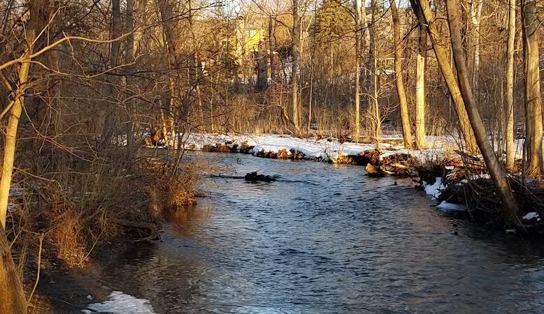 Linden Park - Birmingham,