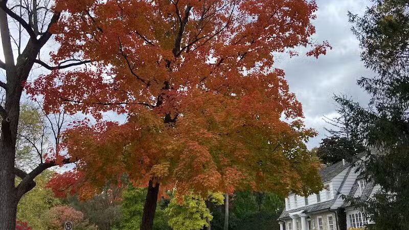 Linden Park - Birmingham,