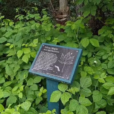 Linden Park - Birmingham,