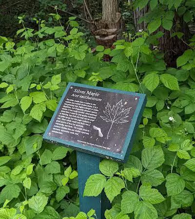 Linden Park - Birmingham,