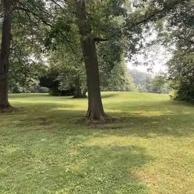 Manor Nature Preserve - Birmingham,