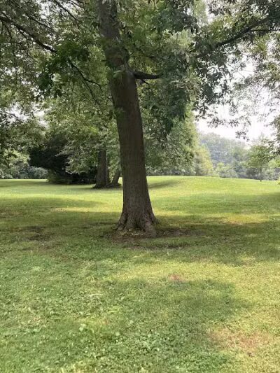 Manor Nature Preserve - Birmingham,