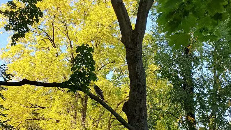 Manor Nature Preserve - Birmingham,