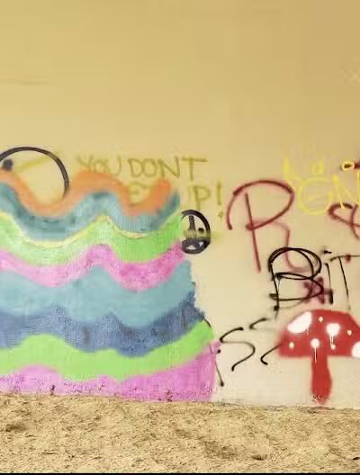 Manor Nature Preserve - Birmingham,