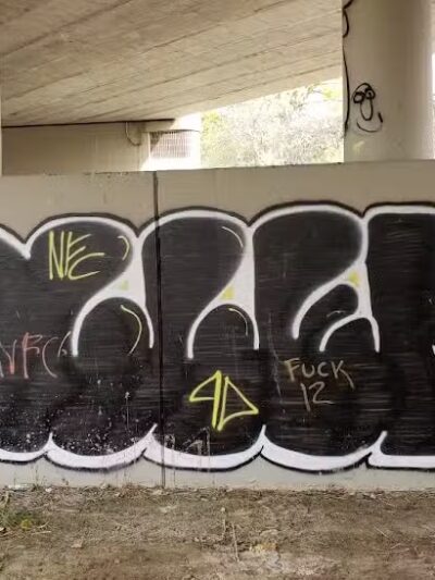 Manor Nature Preserve - Birmingham,