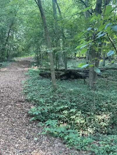 Manor Nature Preserve - Birmingham,