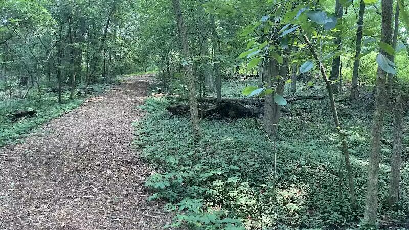 Manor Nature Preserve - Birmingham,