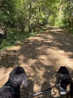 Linden Park - Birmingham,