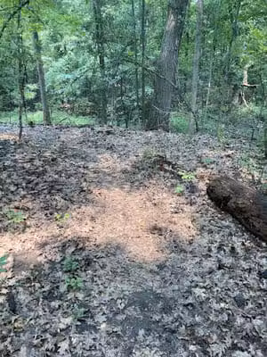 Manor Nature Preserve - Birmingham,
