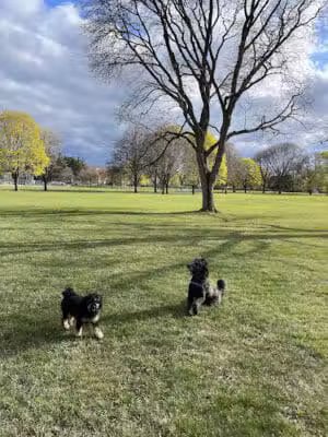 Poppleton Park - Birmingham,