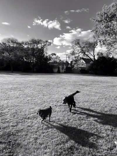 Poppleton Park - Birmingham,