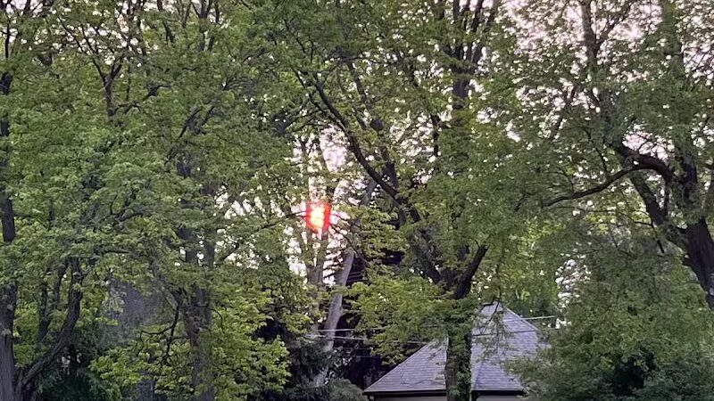 Poppleton Park - Birmingham,