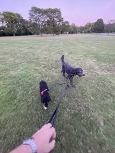 Poppleton Park - Birmingham,