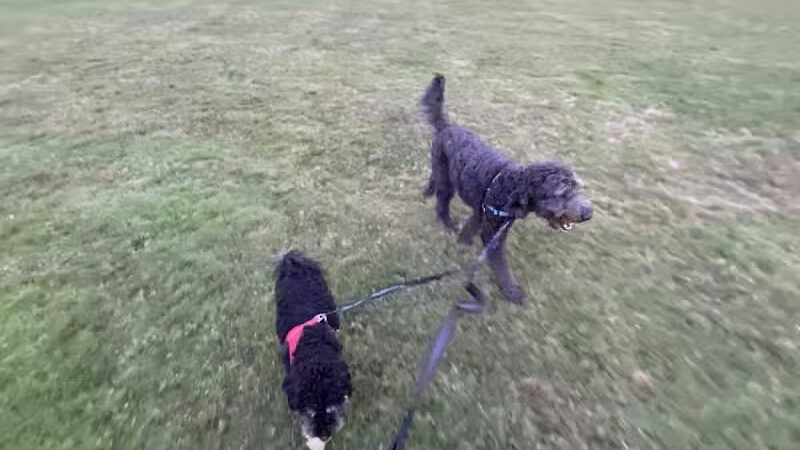 Poppleton Park - Birmingham,