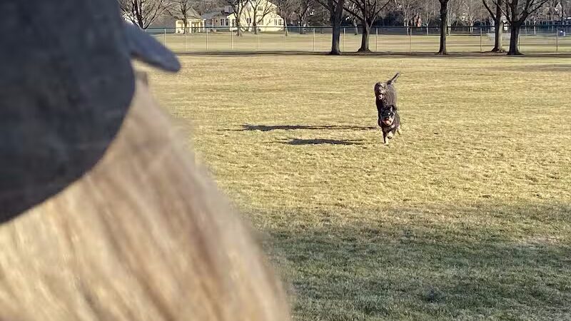 Poppleton Park - Birmingham,