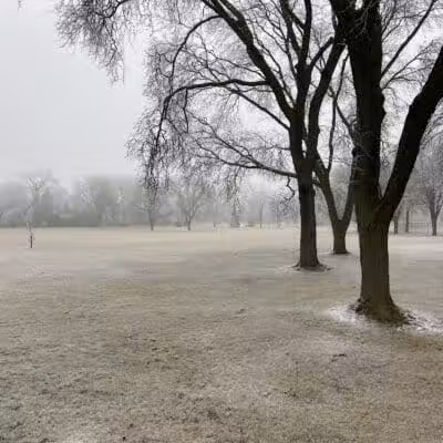 Poppleton Park - Birmingham,