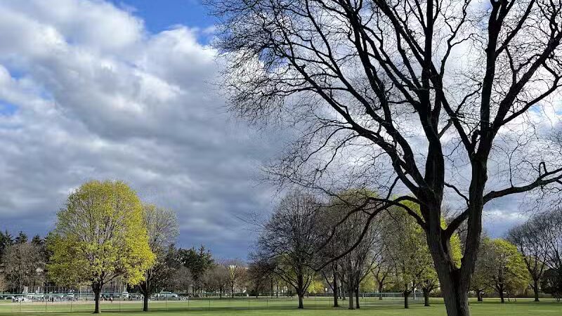 Poppleton Park - Birmingham,