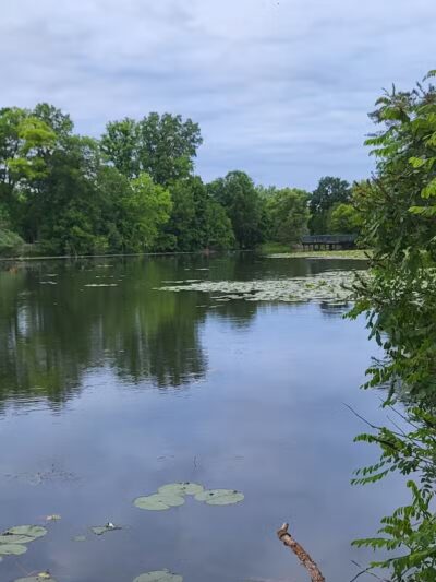 Quarton Lake - Birmingham,