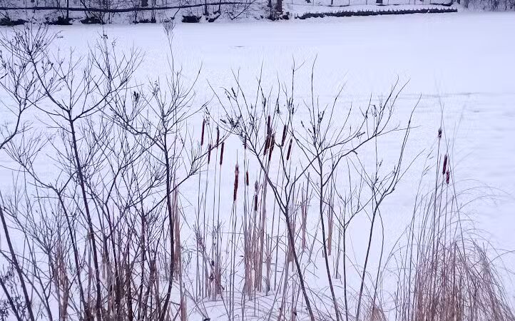 Quarton Lake - Birmingham,