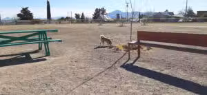 Bisbee Dog Park - Bisbee, AZ