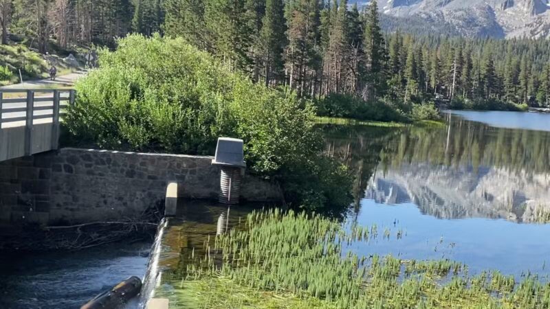 Bishop Dog Park - Bishop, CA