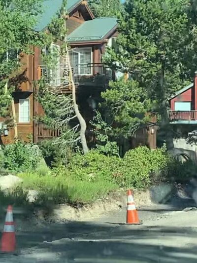 Bishop Dog Park - Bishop, CA