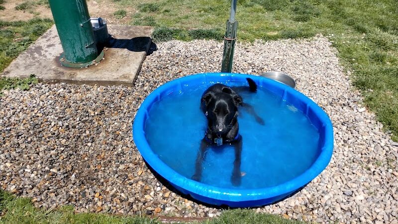 Bishop Dog Park - Bishop, CA