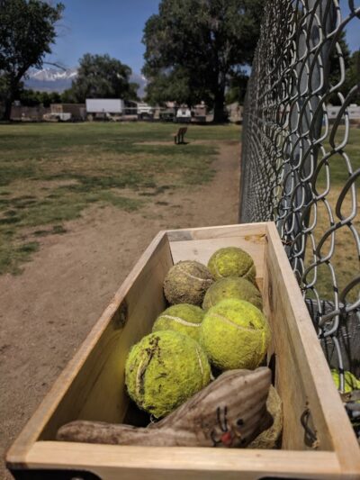 Bishop Dog Park - Bishop, CA
