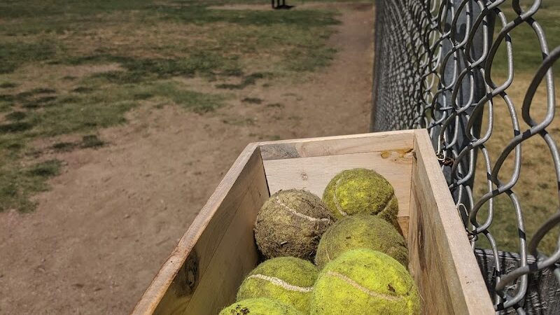 Bishop Dog Park - Bishop, CA